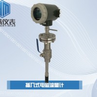 恒滿測(cè)控_插入式電磁流量計(jì)_ LD型自主研發(fā)轉(zhuǎn)換器