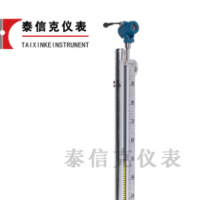 帶遠(yuǎn)傳磁性浮子液位計