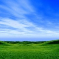 2026第三屆廣州國際生活機器人出口展覽會