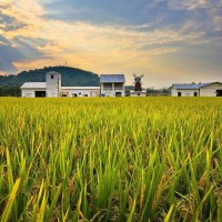 2023中國(guó)鄭州國(guó)際有機(jī)食品產(chǎn)業(yè)展覽會(huì)