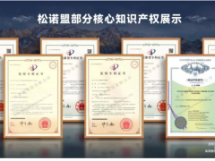 松諾盟順利通過國家知識產(chǎn)權(quán)管理體系貫標認證！