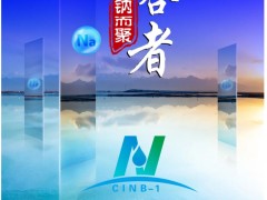 【參會指南】超200家單位報名，五十六場精彩報告，共同開啟鈉電盛會