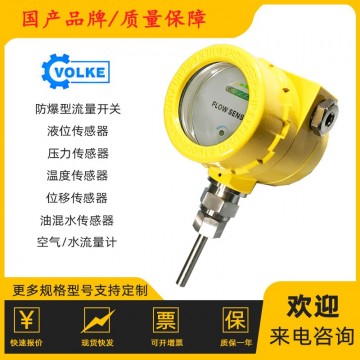 防爆式流量開(kāi)關(guān) 流量感應(yīng)開(kāi)關(guān) 本安