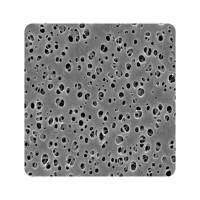 邁博瑞生物膜技術(shù)（南通）有限公司