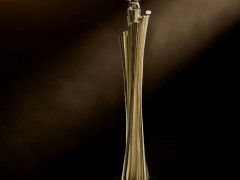 突破、成長(zhǎng)、共贏 | 天馬榮獲OPPO“品質(zhì)優(yōu)秀獎(jiǎng)”！