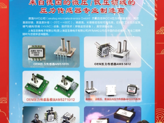 上海蕓圣微電子有限公司 總經(jīng)理 施林生  2024年新春寄語(yǔ)