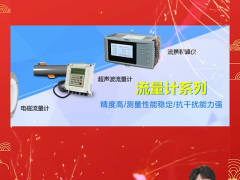 武漢松野智能儀表有限公司 總經(jīng)理 陳龍軍  2024年新春寄語