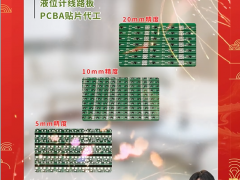 溫州海度電子科技有限公司 總經(jīng)理 童海宇 2024年新春寄語