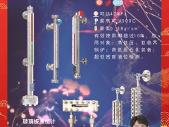 四川惠科達儀表制造有限公司 總經(jīng)理 藍若靈 2024年新春寄語