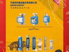 寧波市科奧流量儀表有限公司 總經(jīng)理 陳新亮 2024年新春寄語