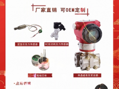 上海朝輝壓力儀器有限公司 董事長 伍正輝 2024年新春寄語