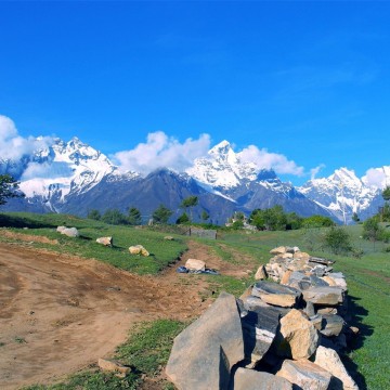 2025安國(guó)藥材展|2025安國(guó)藥交會(huì)