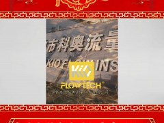 寧波市科奧流量儀表有限公司總經(jīng)理 陳新亮 2025年新春寄語