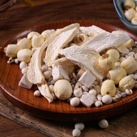 2026中國廣州中藥保健及名貴滋補(bǔ)品展覽會