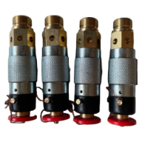 WP60 WP110 WP135 船用壓縮機(jī)安全閥