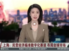 【大賽企業(yè)媒體報(bào)道】民營經(jīng)濟(jì)瞄準(zhǔn)數(shù)字化賽道，布局全球市